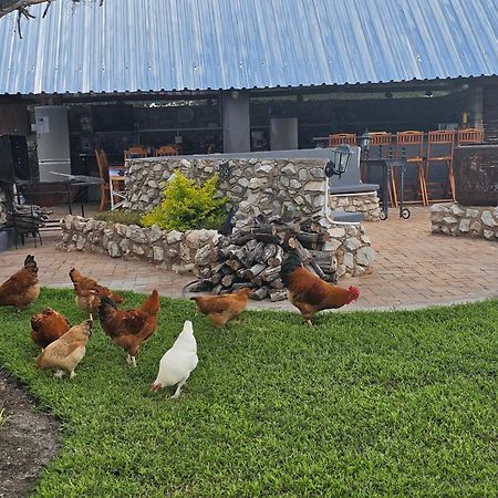 צומב Tamboti Farm Accommodation מראה חיצוני תמונה