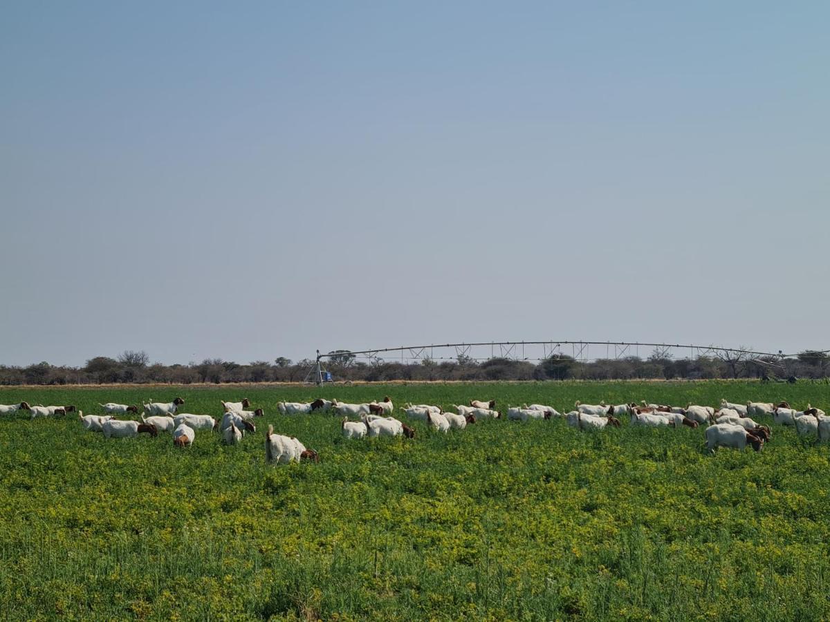 צומב Tamboti Farm Accommodation מראה חיצוני תמונה
