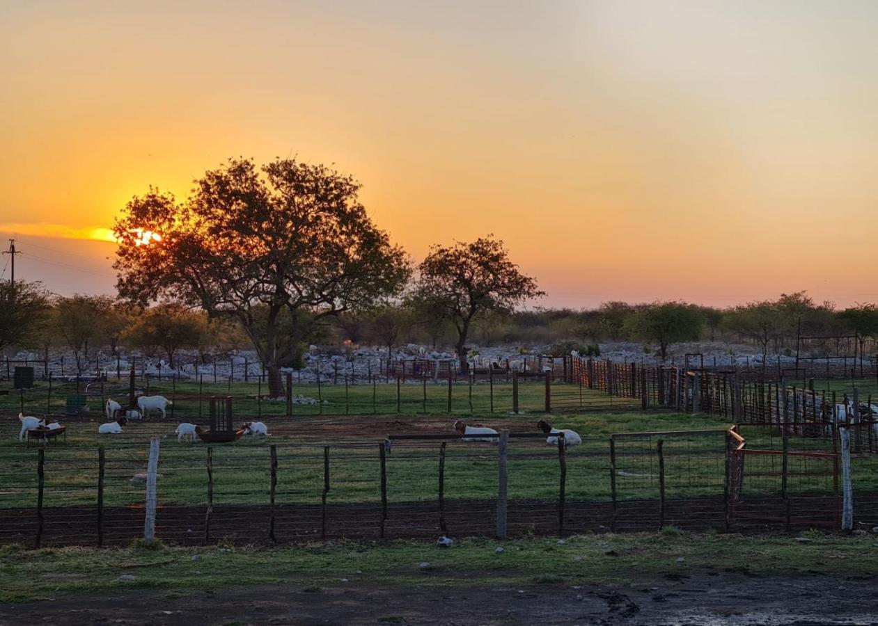 צומב Tamboti Farm Accommodation מראה חיצוני תמונה