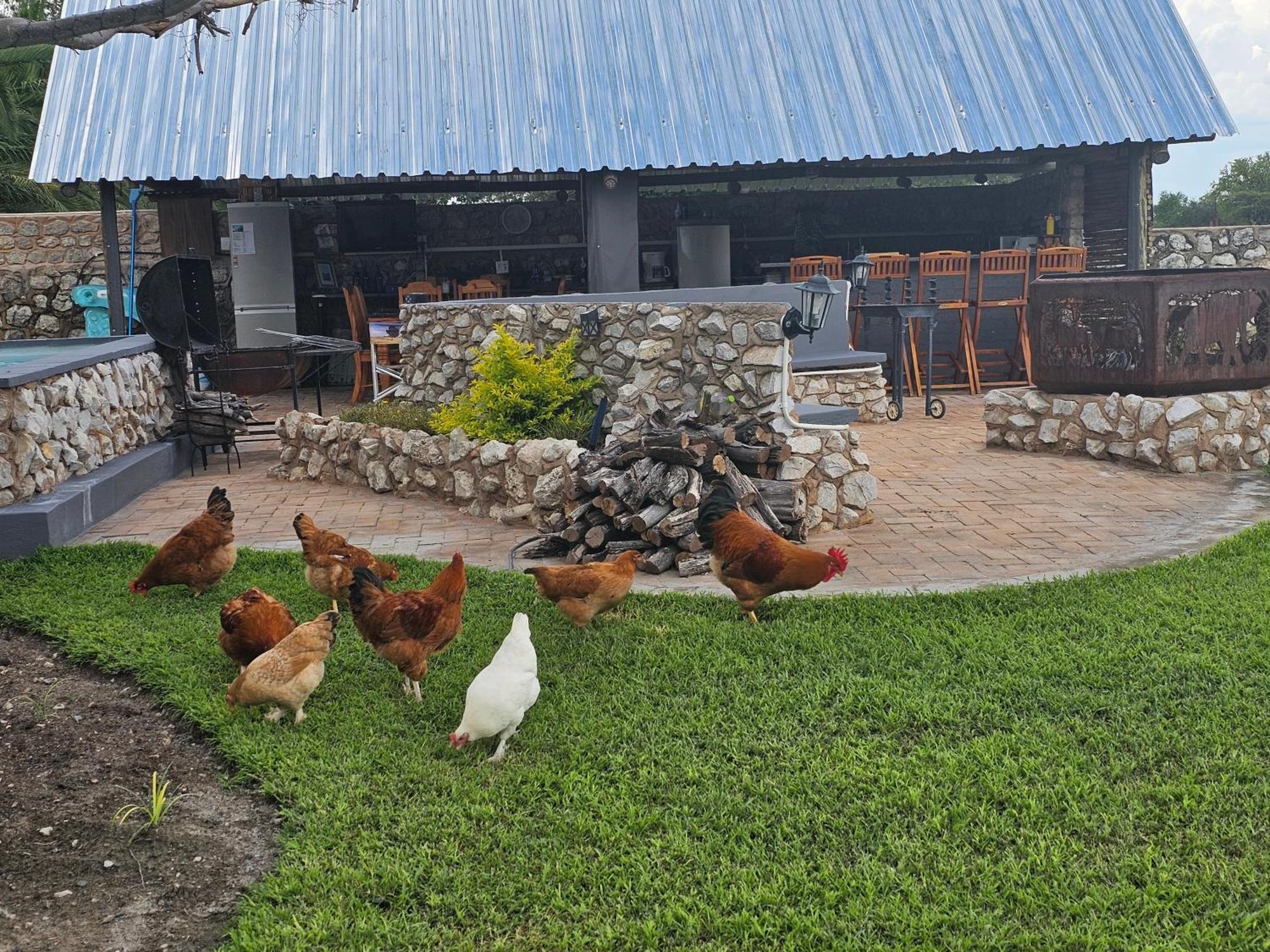 צומב Tamboti Farm Accommodation מראה חיצוני תמונה